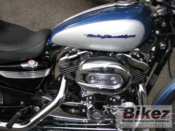 2005 Harley-Davidson XL 1200 C Sportster Custom photo